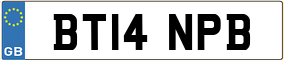Trailer License Plate